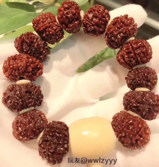 %title插图%num %title插图%num