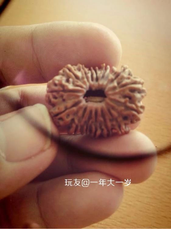 %title插图%num %title插图%num