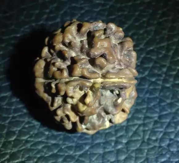 %title插图%num %title插图%num