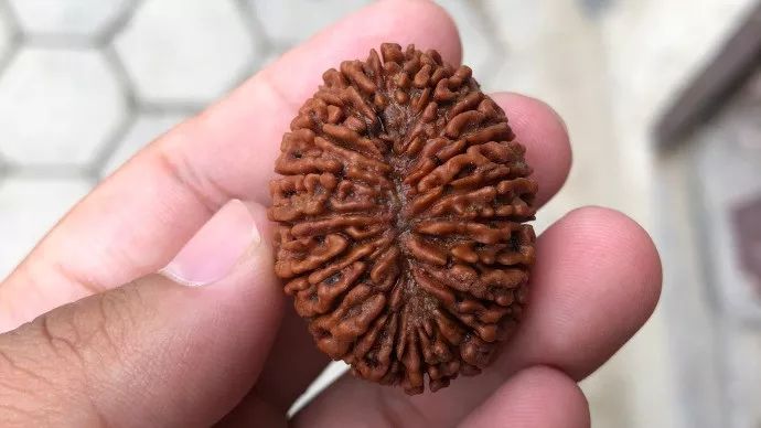 %title插图%num %title插图%num