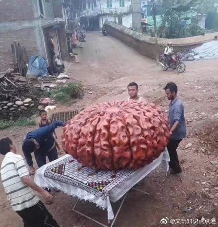 %title插图%num %title插图%num