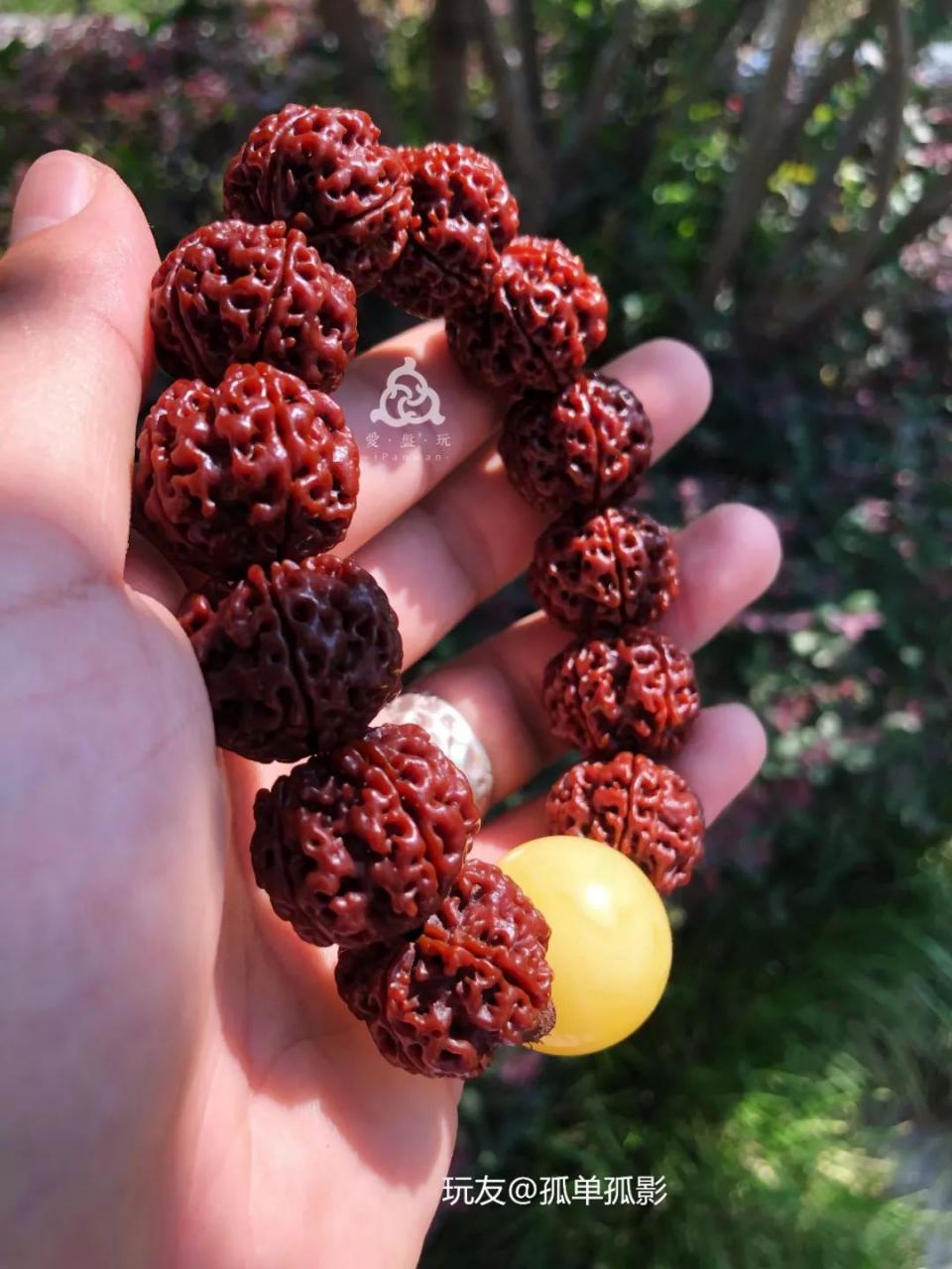 %title插图%num %title插图%num