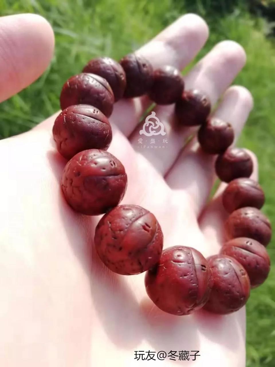 %title插图%num %title插图%num