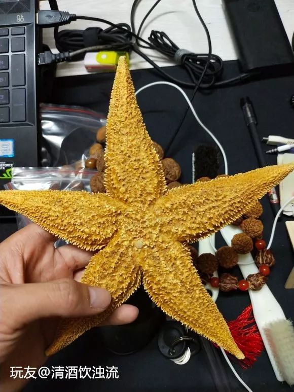 %title插图%num %title插图%num