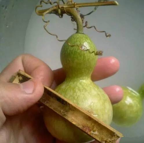 %title插图%num %title插图%num