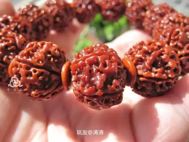 %title插图%num %title插图%num