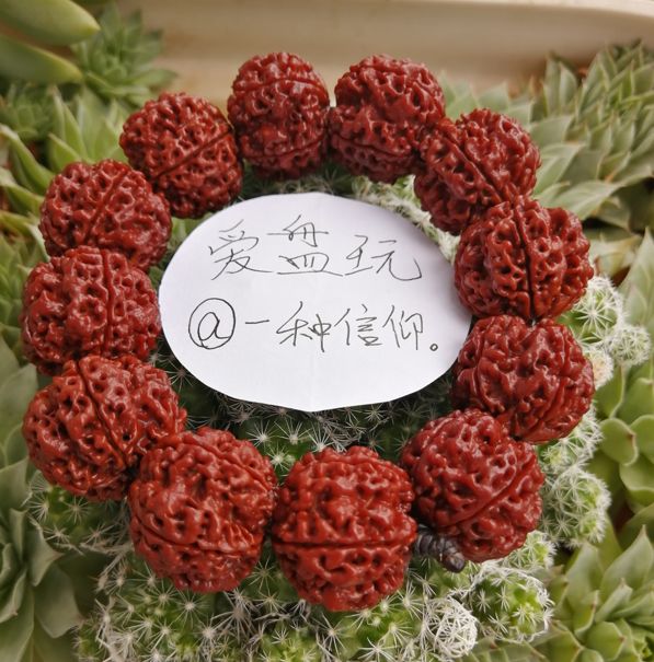 %title插图%num %title插图%num