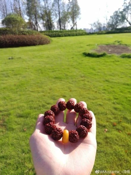 %title插图%num %title插图%num