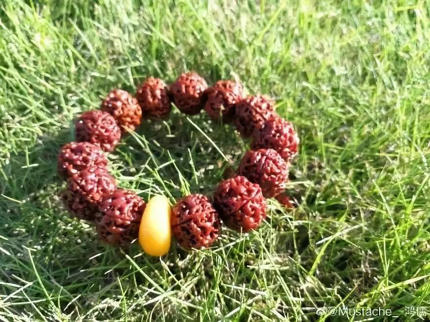 %title插图%num %title插图%num