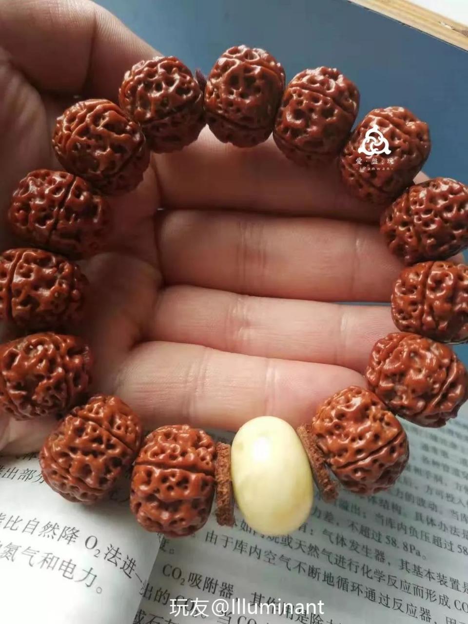 %title插图%num %title插图%num