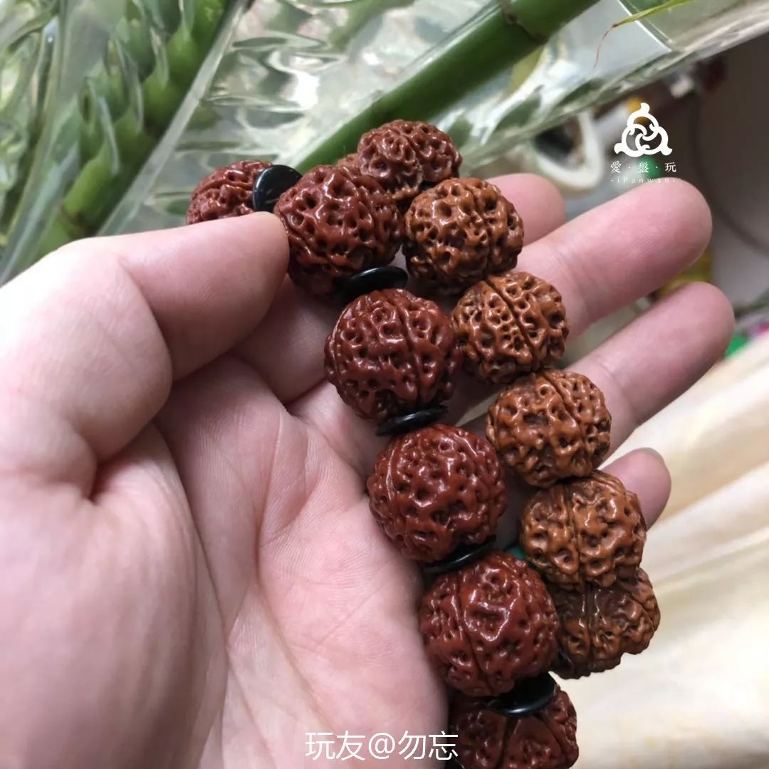 %title插图%num %title插图%num