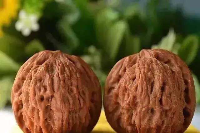 %title插图%num %title插图%num