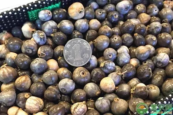 %title插图%num %title插图%num