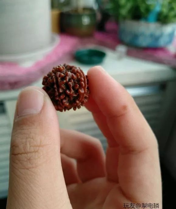 %title插图%num %title插图%num