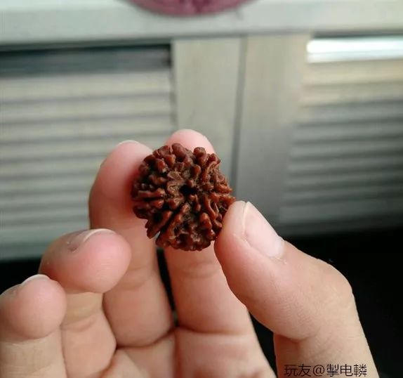 %title插图%num %title插图%num