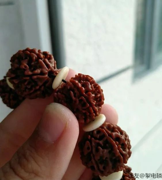 %title插图%num %title插图%num