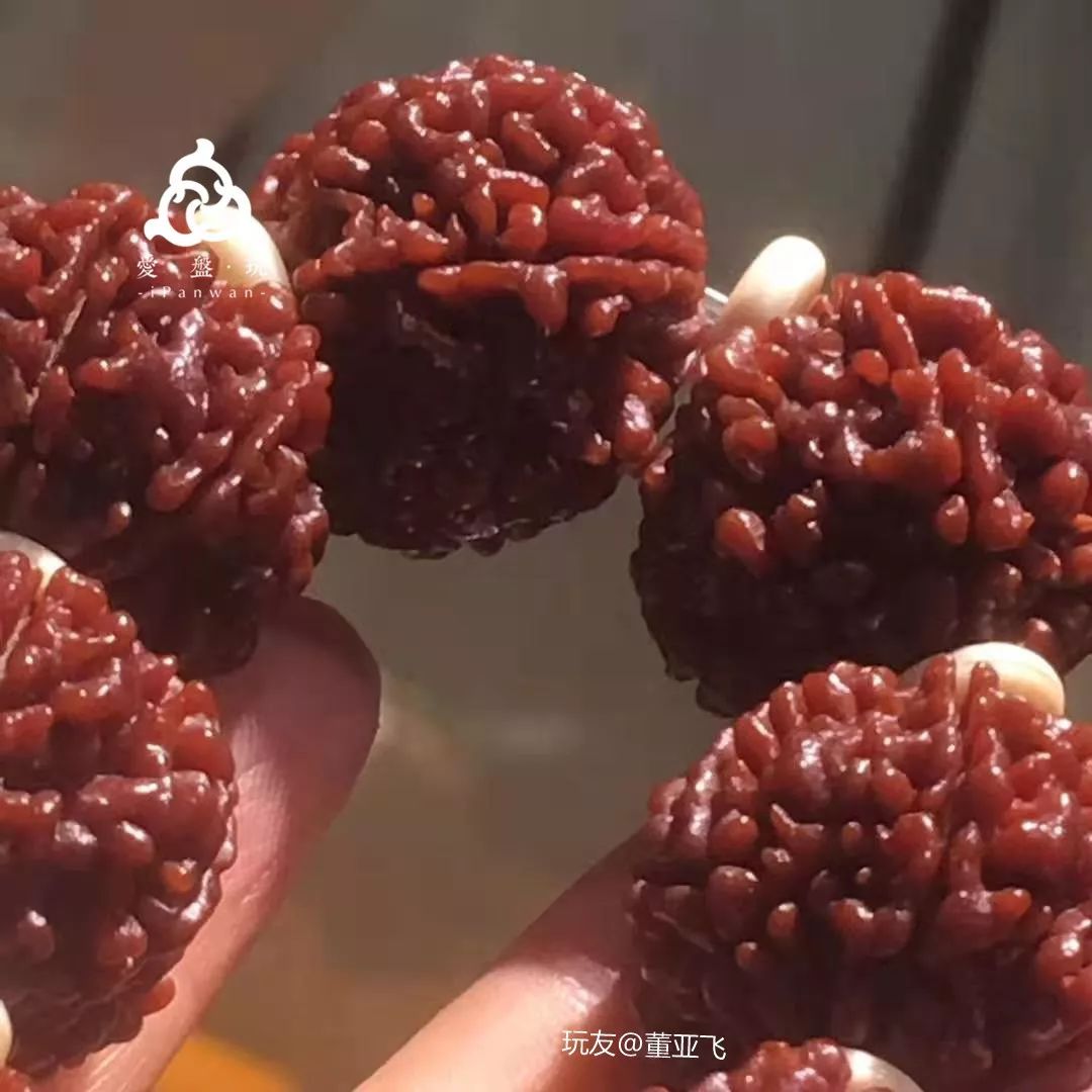 %title插图%num %title插图%num