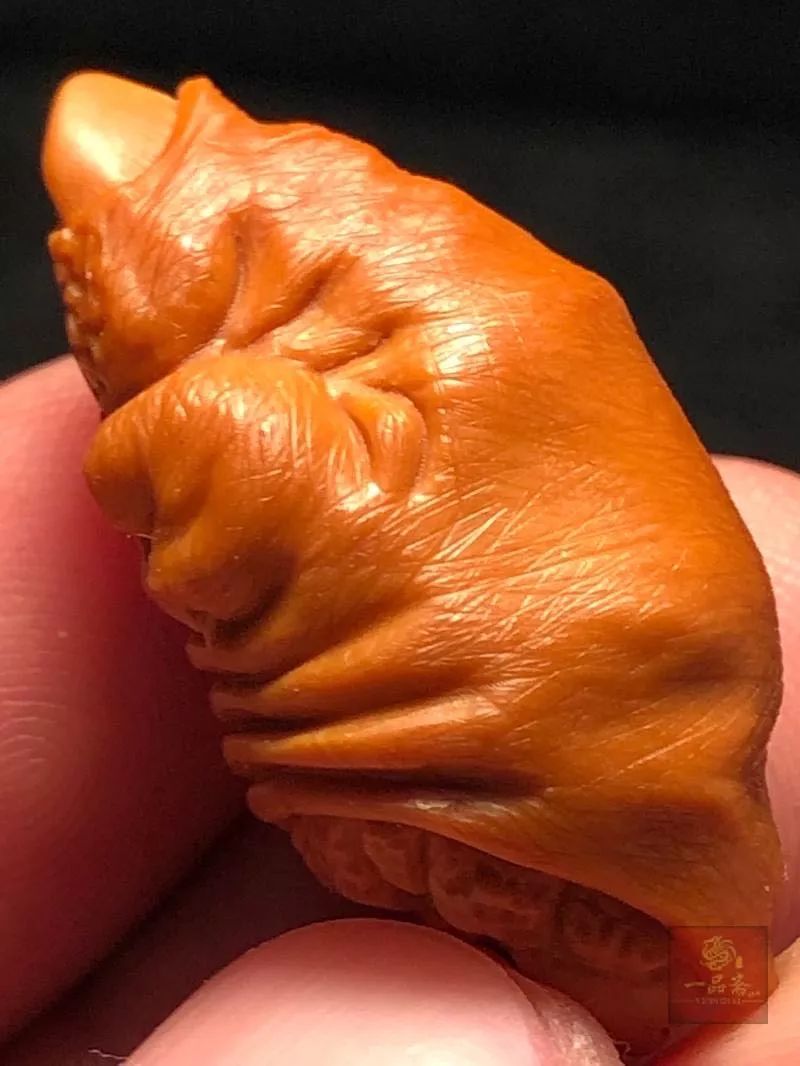 %title插图%num %title插图%num