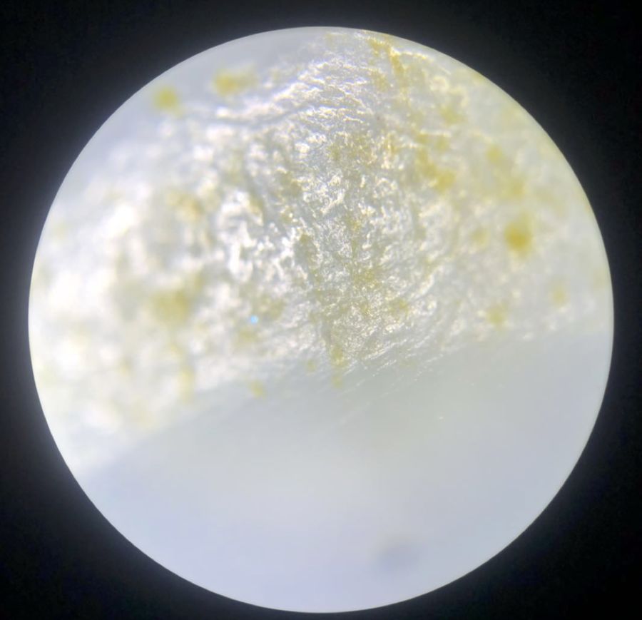 从图库选择图片