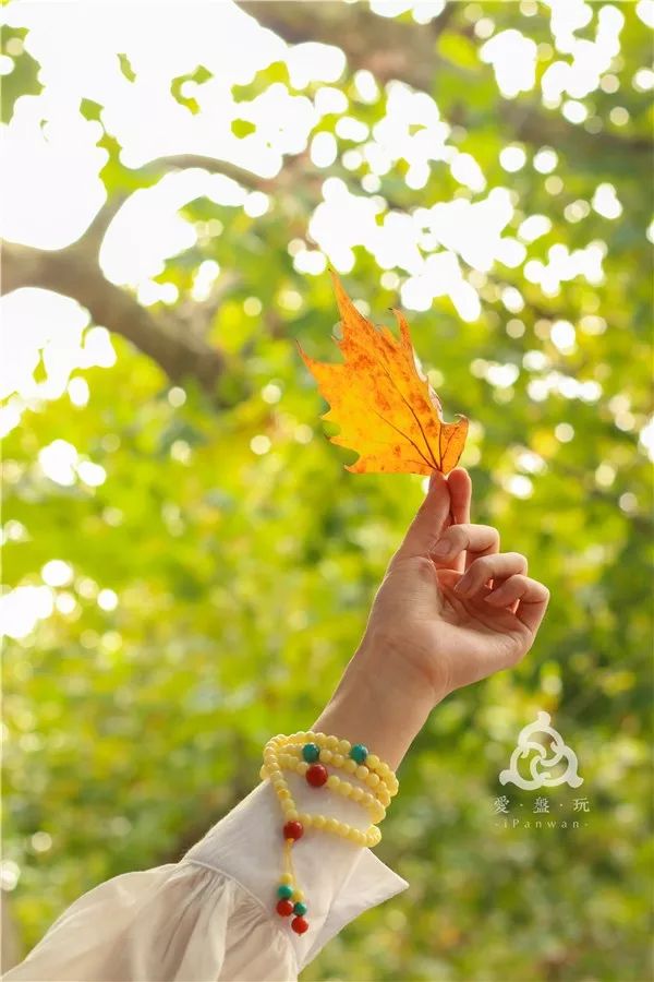 %title插图%num %title插图%num