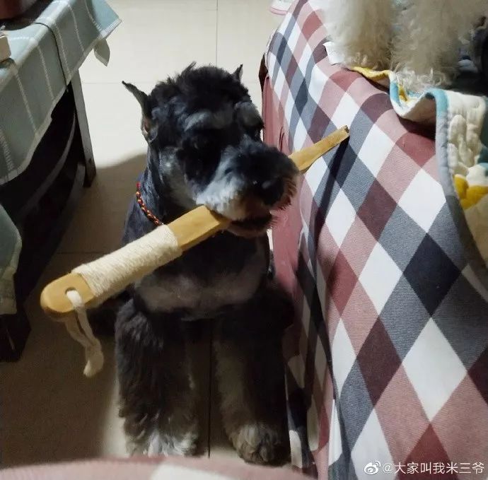 %title插图%num %title插图%num