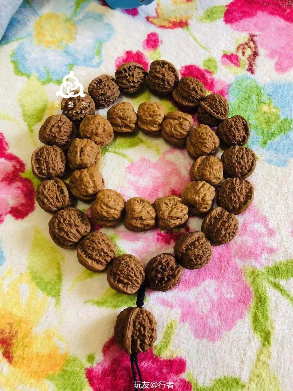 %title插图%num %title插图%num