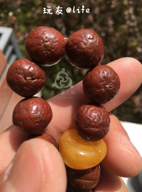 %title插图%num %title插图%num