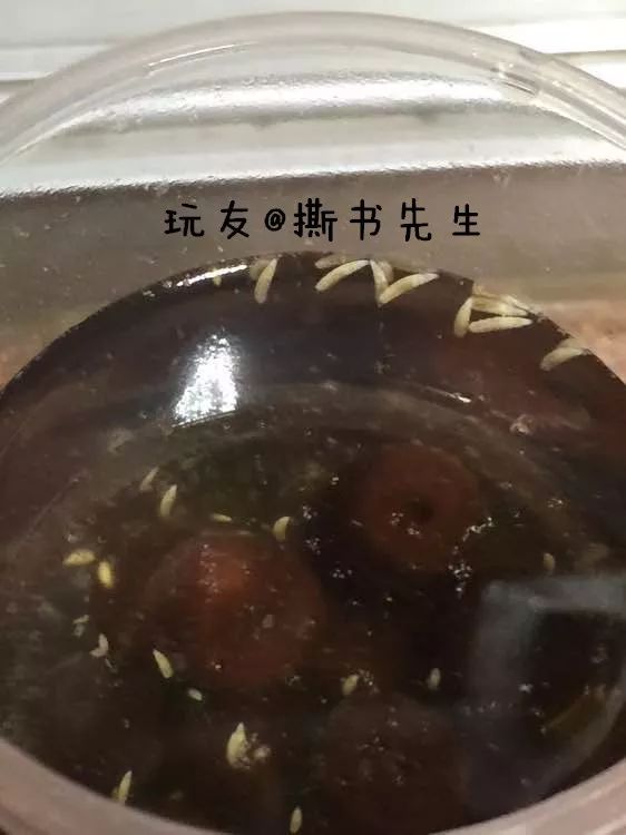 %title插图%num %title插图%num