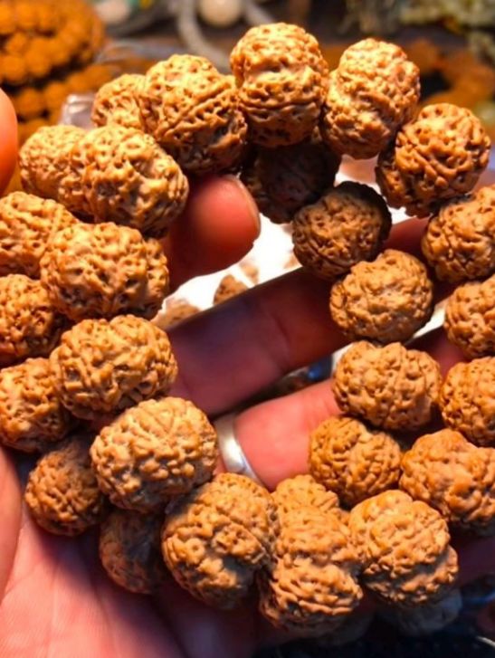 %title插图%num %title插图%num