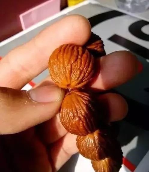 %title插图%num %title插图%num