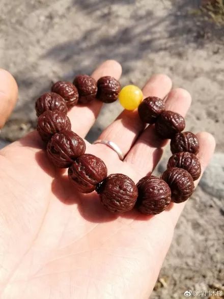 %title插图%num %title插图%num