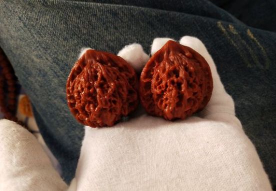 %title插图%num %title插图%num