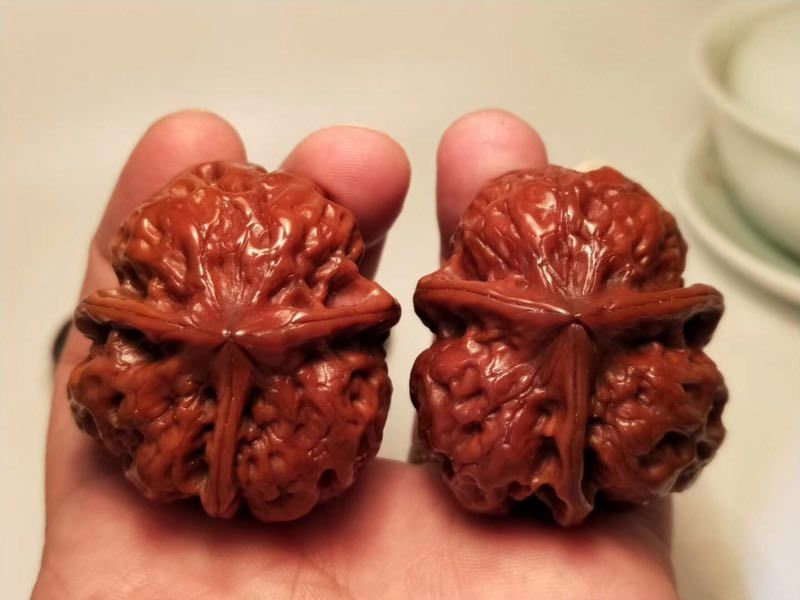 %title插图%num %title插图%num