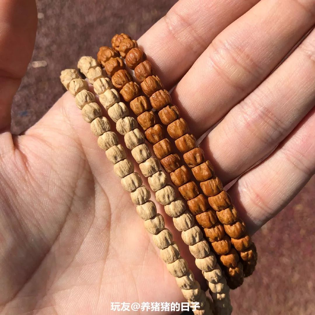 %title插图%num %title插图%num