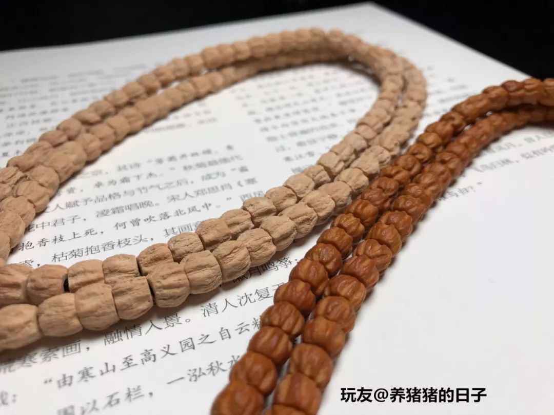 %title插图%num %title插图%num