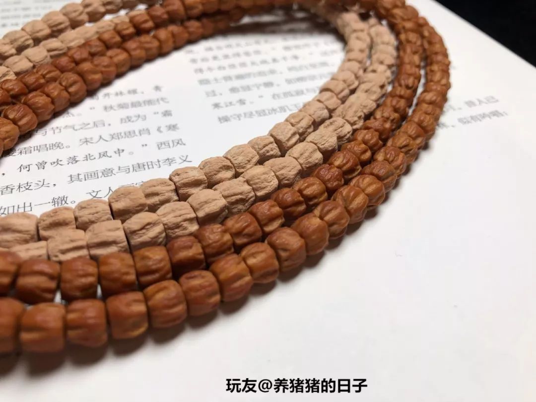 %title插图%num %title插图%num