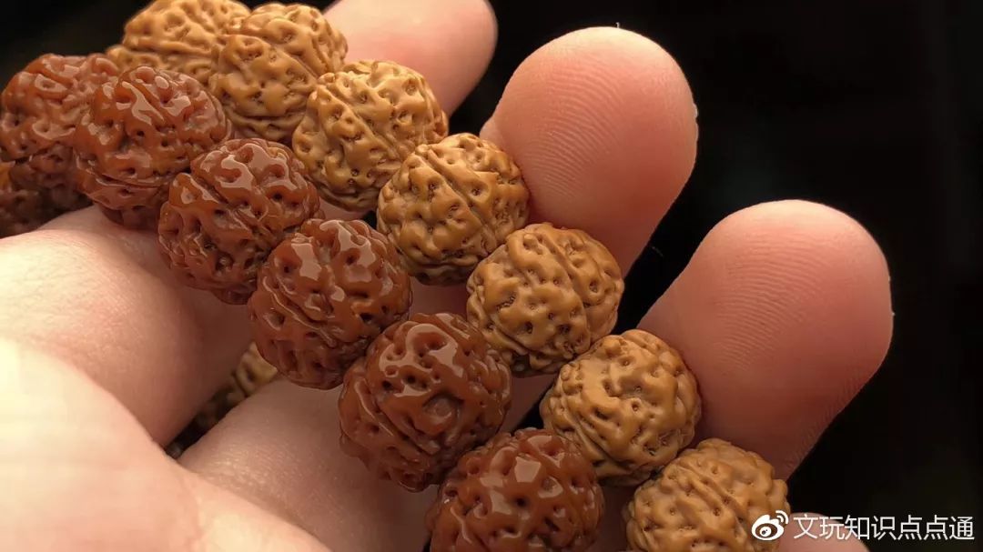 %title插图%num %title插图%num