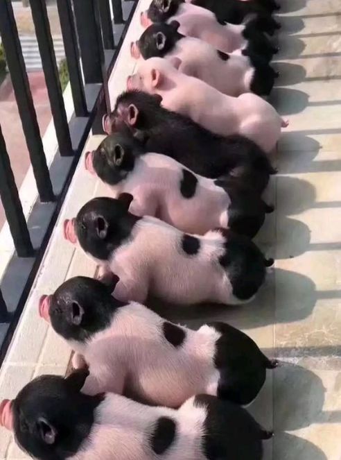 %title插图%num %title插图%num