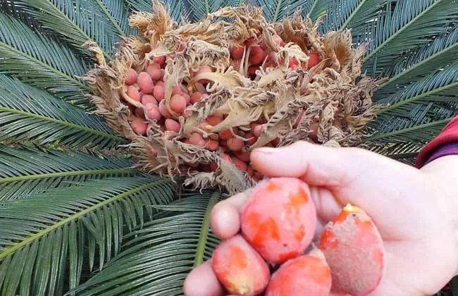 %title插图%num %title插图%num