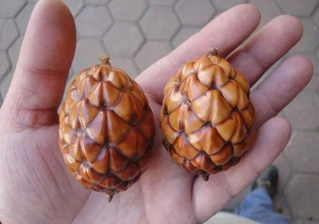 %title插图%num %title插图%num