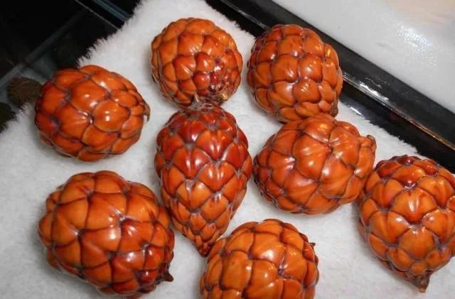 %title插图%num %title插图%num