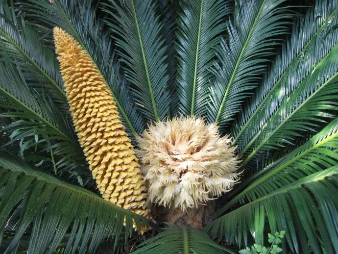 %title插图%num %title插图%num