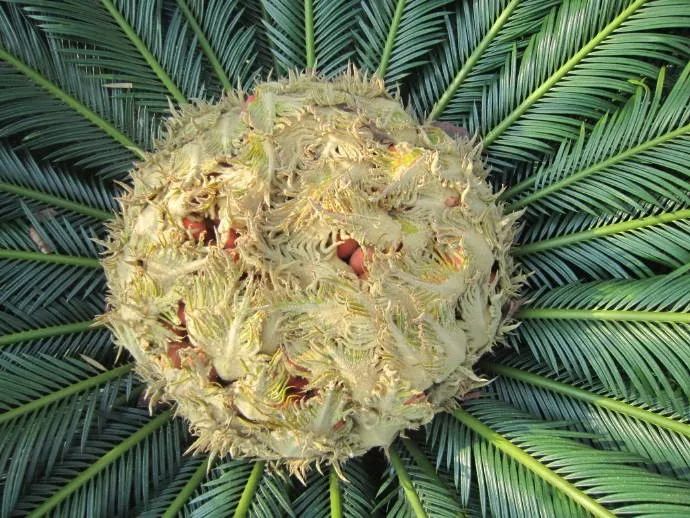 %title插图%num %title插图%num