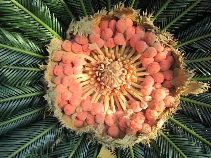 %title插图%num %title插图%num