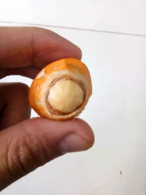 %title插图%num %title插图%num