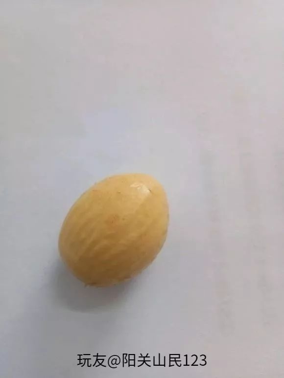 %title插图%num %title插图%num