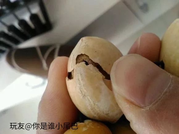 %title插图%num %title插图%num