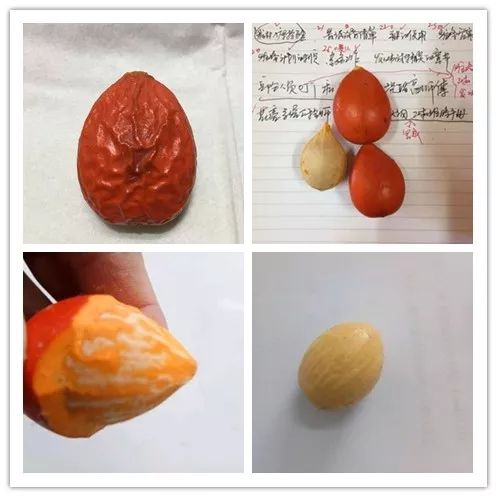 %title插图%num %title插图%num