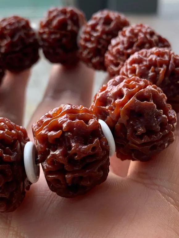 %title插图%num %title插图%num