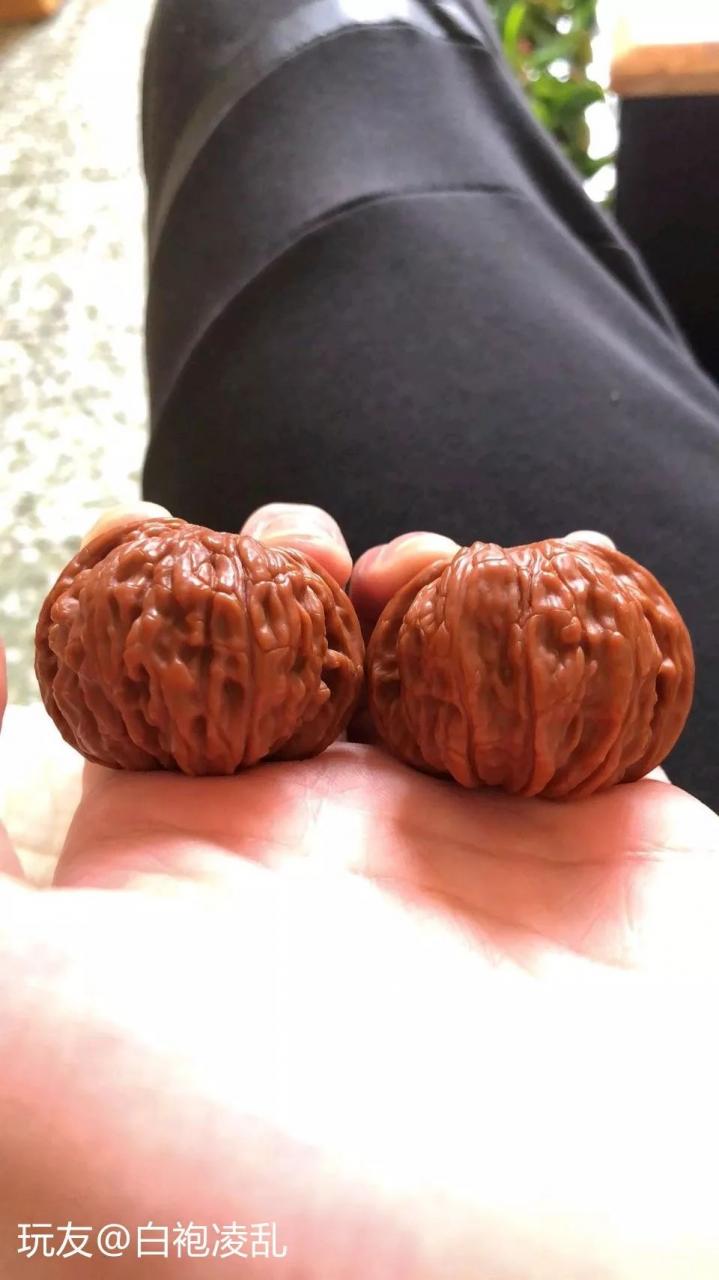 %title插图%num %title插图%num